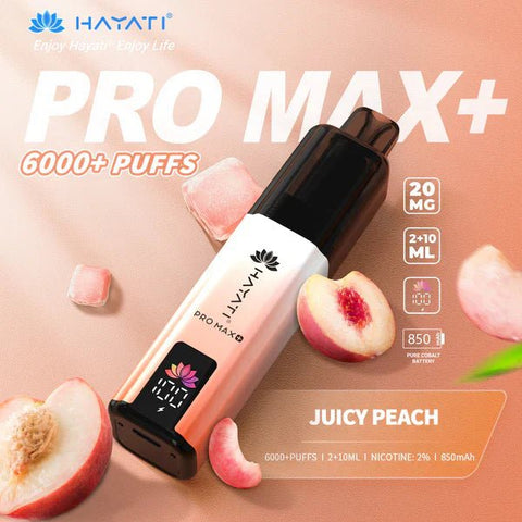 Hayat Pro Max+ 6000 Puffs Disposable Vape Vape Club UK