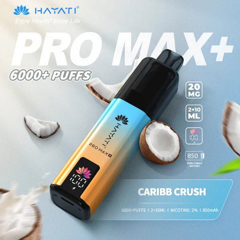 Hayat Pro Max+ 6000 Puffs Disposable Vape Vape Club UK